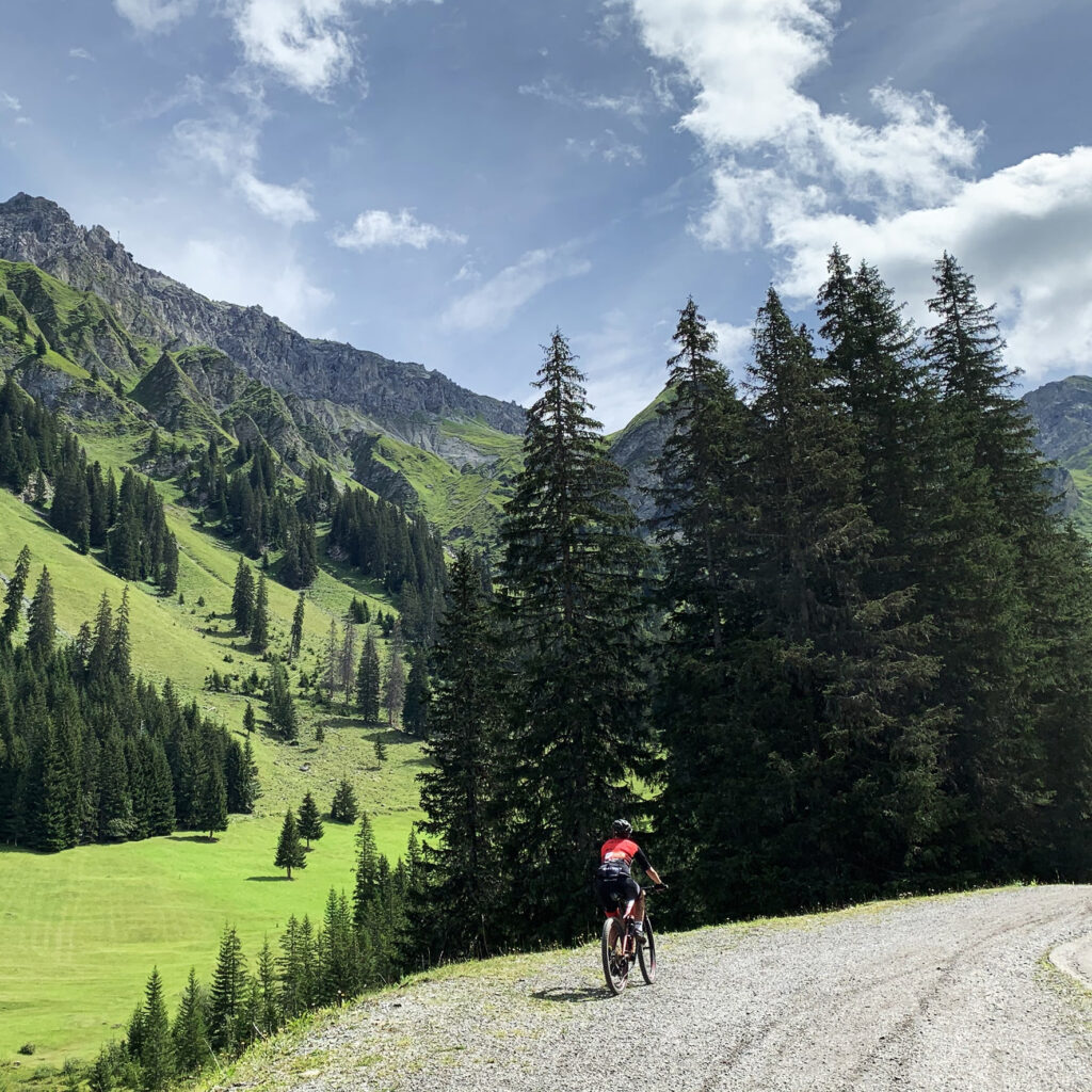 Schweiz-mtb-square-grafisk-design-for-iværksættere