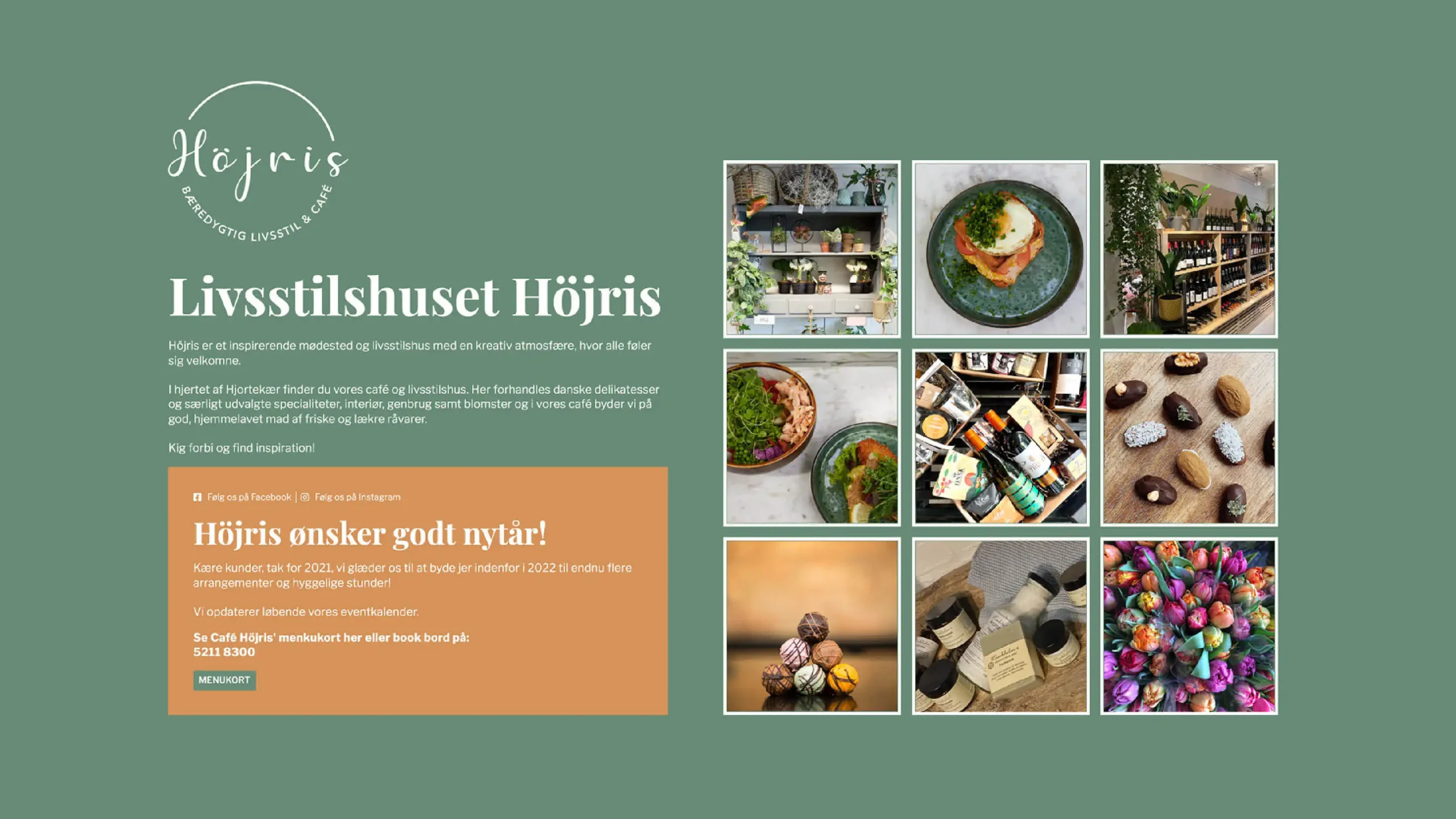 höjris-website-design-hero