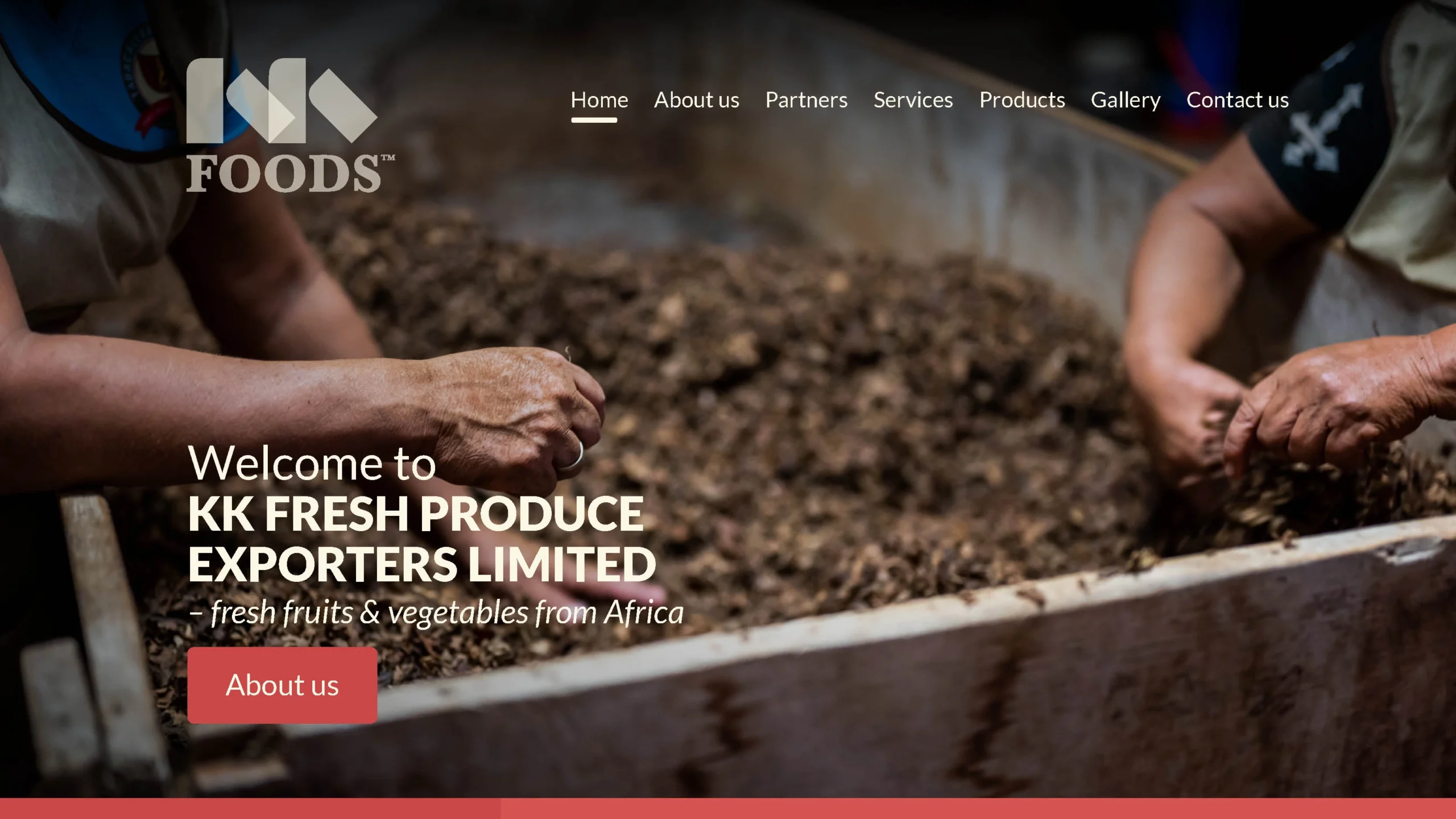 kkfoods-hero-section-landing-page