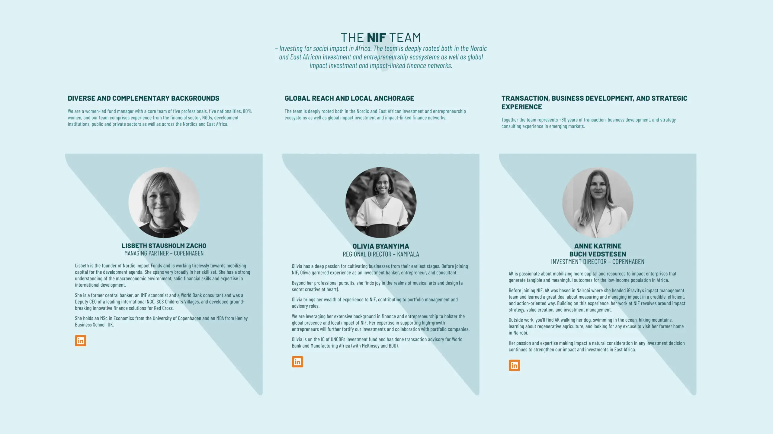 nordic-impact-funds-hjemmeside-design